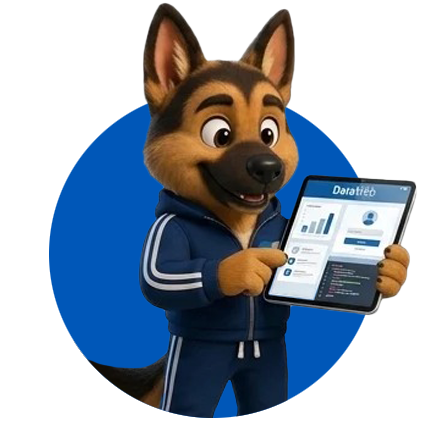 mascotte-2 DataWeb Group | Gestione Documentale e Archiviazione Documenti